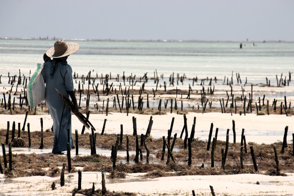 Voyage photographique –&nbsp;Afrique